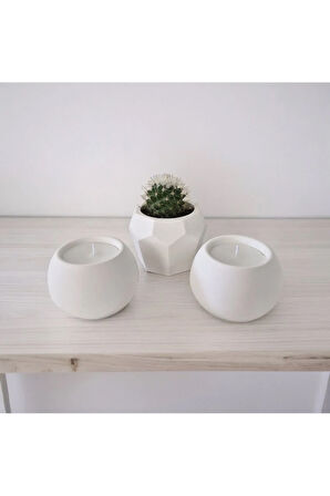 Taş Mumlukta Kaktüs ve Mum, Lavanta Kokulu %100 Doğal Soya Mum-Beşgen-Yuv. (7cm,7cm, 8,5cm)- 3lü set