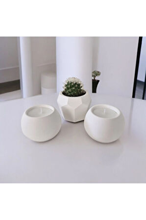 Taş Mumlukta Kaktüs ve Mum, Lavanta Kokulu %100 Doğal Soya Mum-Beşgen-Yuv. (7cm,7cm, 8,5cm)- 3lü set