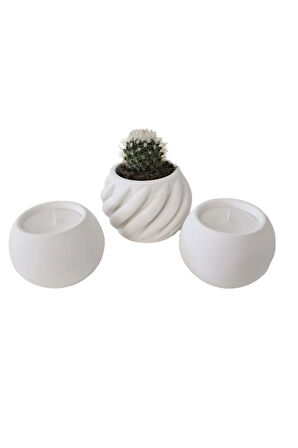 Taş Mumlukta Kaktüs ve Mum,  Lavanta Kokulu %100 Doğal Soya Mum - Spiral- Yuv. (7cm,7cm,9cm)-3lü set
