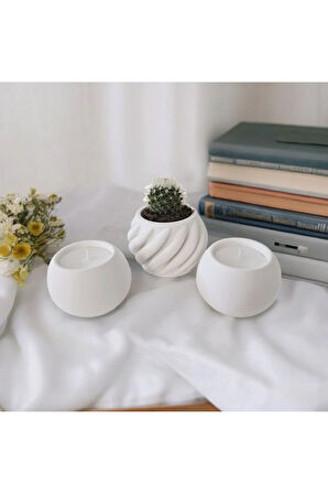 Taş Mumlukta Kaktüs ve Mum,  Lavanta Kokulu %100 Doğal Soya Mum - Spiral- Yuv. (7cm,7cm,9cm)-3lü set