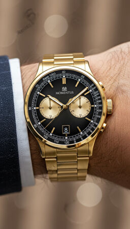 Momentus Gold Çelik Kordon Erkek Kol Saati CC305G-04SG