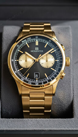 Momentus Gold Çelik Kordon Erkek Kol Saati CC305G-04SG