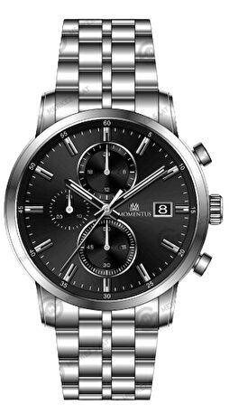 Momentus Gümüş Çelik Kordon Erkek Kol Saati CC308S-04SS