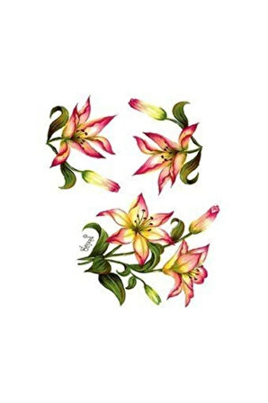 G62 25x35 Gülsün Ülkü