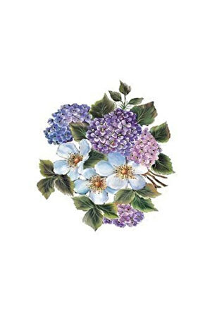 G81 25x35 Gülsün Ülkü