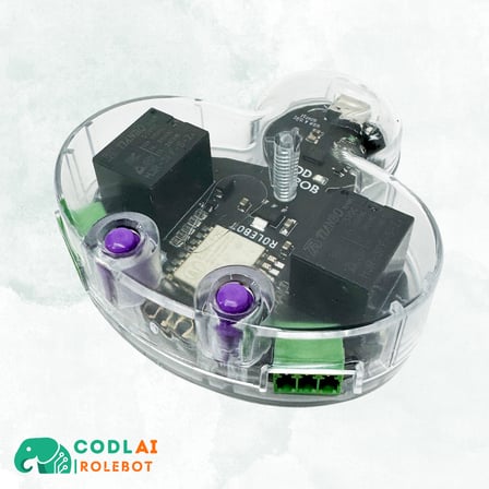 CODLAI - ROLEBOT
