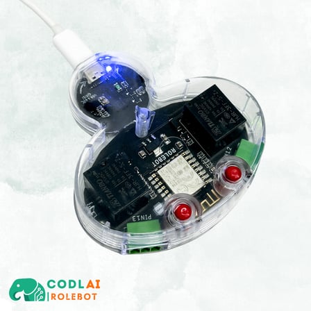 CODLAI - ROLEBOT
