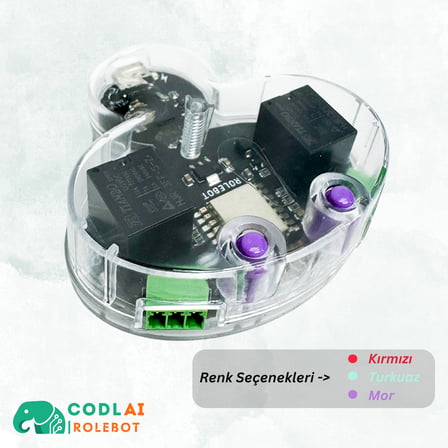 CODLAI - ROLEBOT