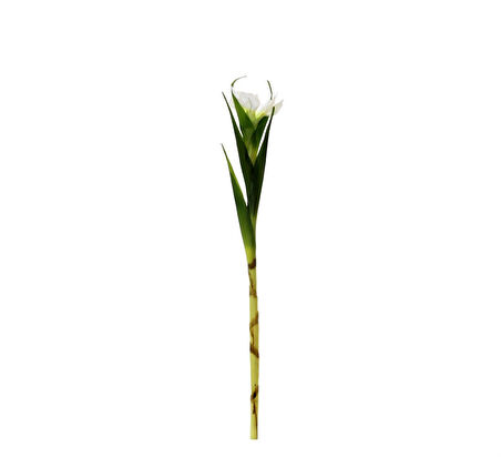 Yapay Tekli Single Eirel Dalı 67 cm