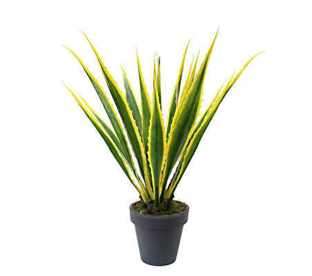 Yapay Agave Americana Ağacı 105 cm