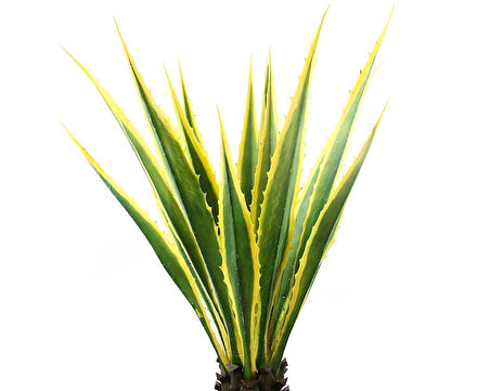 Yapay Agave Americana Ağacı 105 cm