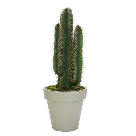 Yapay Kaktüs Küçük 80 Cm