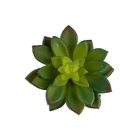 Yapay Mini Etli Echeveria Sukulent Yeşil 12 cm