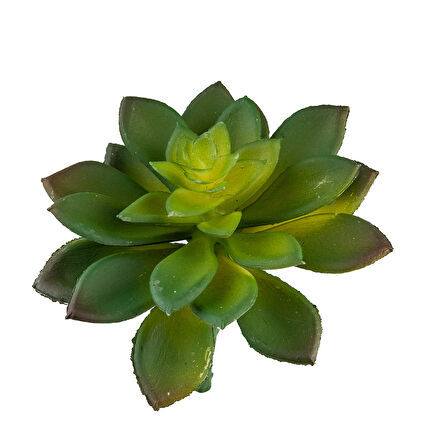 Yapay Mini Etli Echeveria Sukulent Yeşil 12 cm