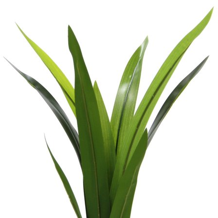 Yapay Dracena Demet Yeşil 60 cm