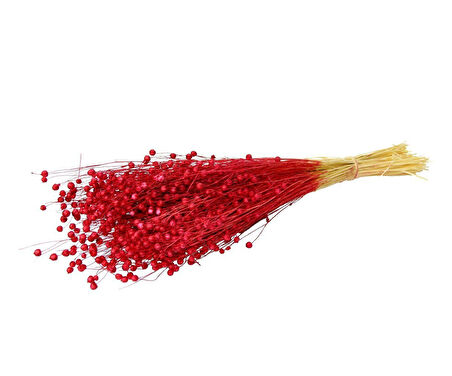 Kurutulmuş Luna (Keten) Demeti Kırmızı