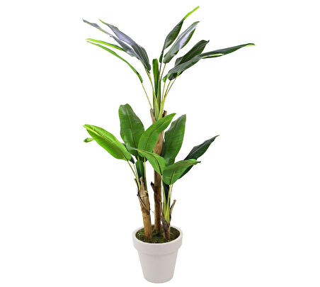 Yapay Muz Ağacı 200 cm