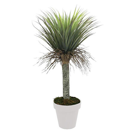 Yapay Nolina Ağacı 115 cm