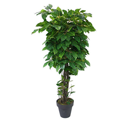 Yapay Mango Ağacı Yeşil 170 cm
