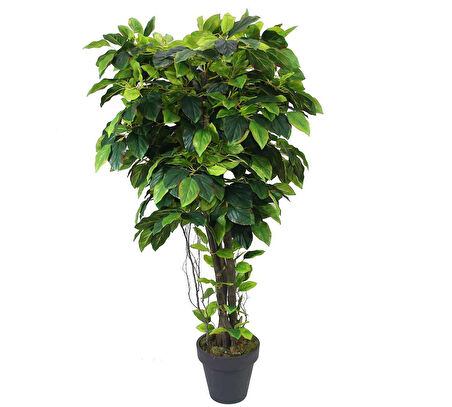 Yapay Mango Ağacı Alacalı Yeşil 170 cm