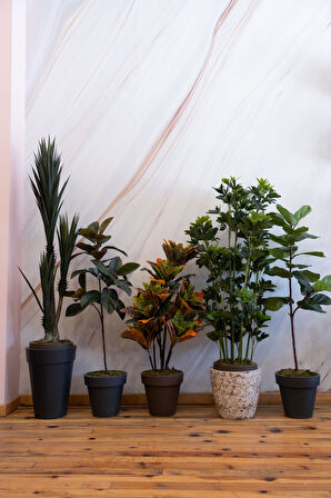 Yapay Sisal Ağacı 170 cm