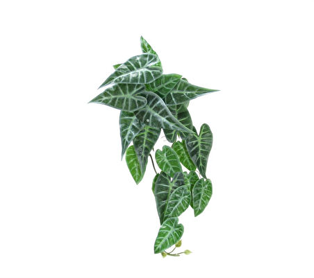Yapay Caladium Sarmaşık Demeti 55 cm