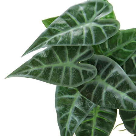 Yapay Caladium Sarmaşık Demeti 55 cm