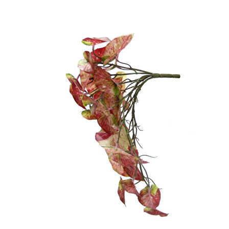 Yapay Caladium Sarmaşık Demeti 40 cm
