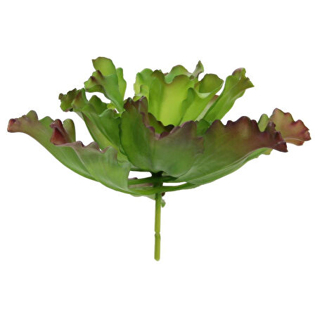 Yapay Sukulent Kırmızı Yeşil 30 cm
