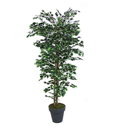Yapay Paçira Ağacı Alacalı 170 cm