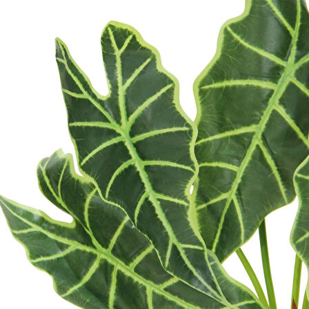 Yapay Alocasia Demeti 65 cm