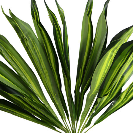 Yapay Drasena (Dracena) Demeti 50 cm