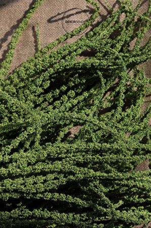 Yapay Amarantus (Amaranthus) Demeti Yeşil 85 cm