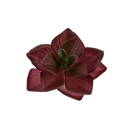 Yapay Mini Echeveria Sukulent Bordo 8 cm