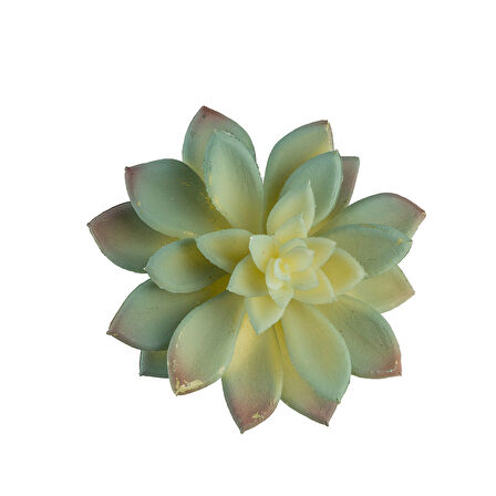 Yapay Mini Etli Echeveria Sukulent Açık Yeşil 12 cm