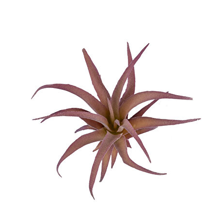 Yapay Tüylü Tillandsia Sukulent Lila 17 cm