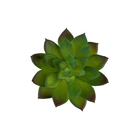 Yapay Mini Echeveria Sukulent  Yeşil 8 cm