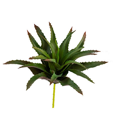 Yapay Dikenli Sisal Sukulent Kızıl Yeşil 26 cm
