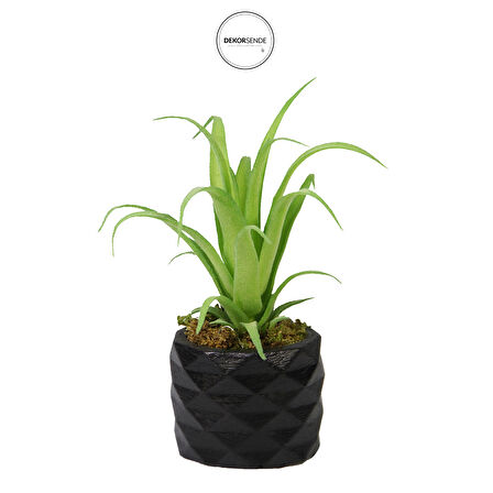 Yapay Tillandsia Sukulent Açık Yeşil 17 cm Saksılı