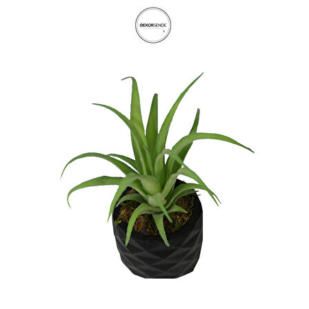 Yapay Tillandsia Sukulent Açık Yeşil 17 cm Saksılı