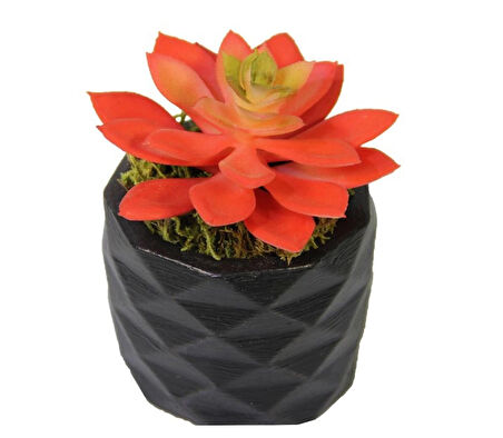 Yapay Mini Echeveria Sukulent Kırmızı 8 cm Saksılı