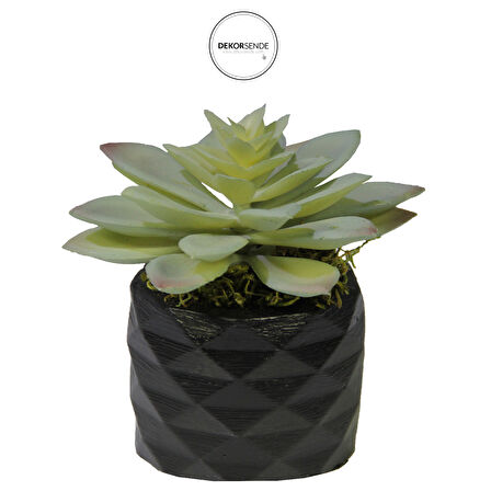 Yapay Mini Etli Echeveria Sukulent Açık Yeşil 12 cm Saksılı