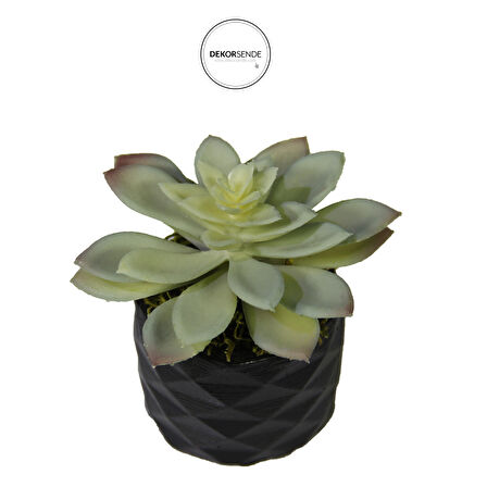 Yapay Mini Etli Echeveria Sukulent Açık Yeşil 12 cm Saksılı