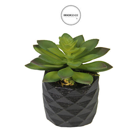 Yapay Mini Etli Echeveria Sukulent Yeşil 12 cm Saksılı