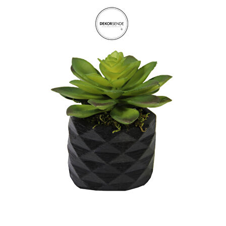 Yapay Mini Etli Echeveria Sukulent Yeşil 12 cm Saksılı