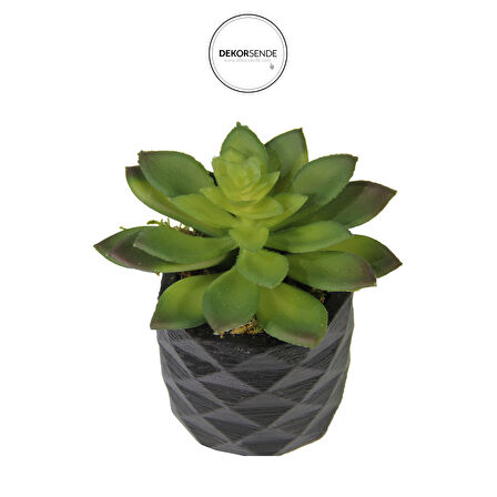 Yapay Mini Etli Echeveria Sukulent Yeşil 12 cm Saksılı