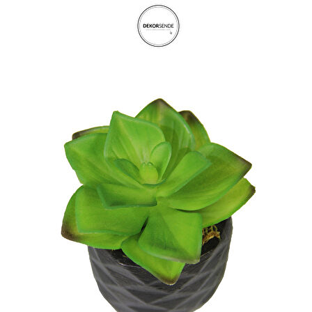 Yapay Mini Etli Echeveria Sukulent Açık Yeşil 8 cm Saksılı