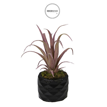 Yapay Tüylü Tillandsia Sukulent Lila 17 cm Saksılı