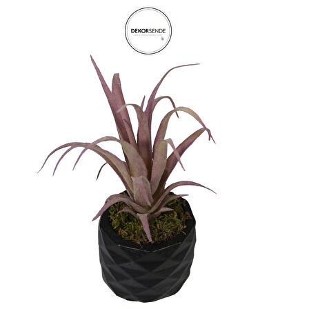 Yapay Tüylü Tillandsia Sukulent Lila 17 cm Saksılı