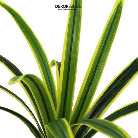 Yapay Dracena Demet Sarı Yeşil 50 cm